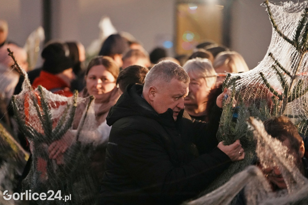 Choinki od Starosty Gorlickiego 2025 (19.12.)