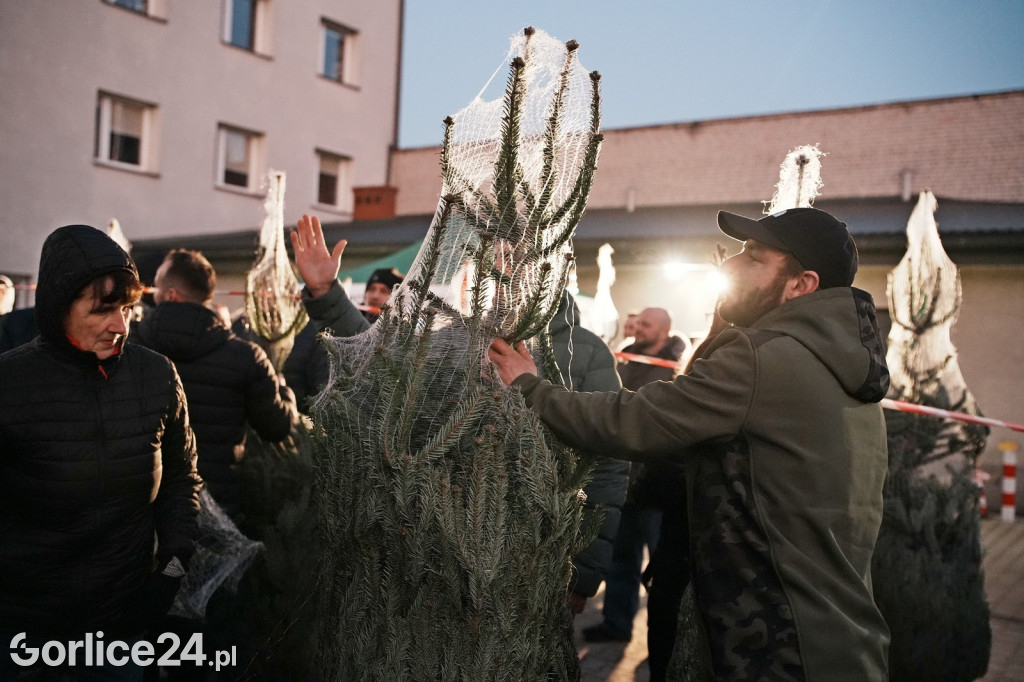 Choinki od Starosty Gorlickiego 2025 (19.12.)
