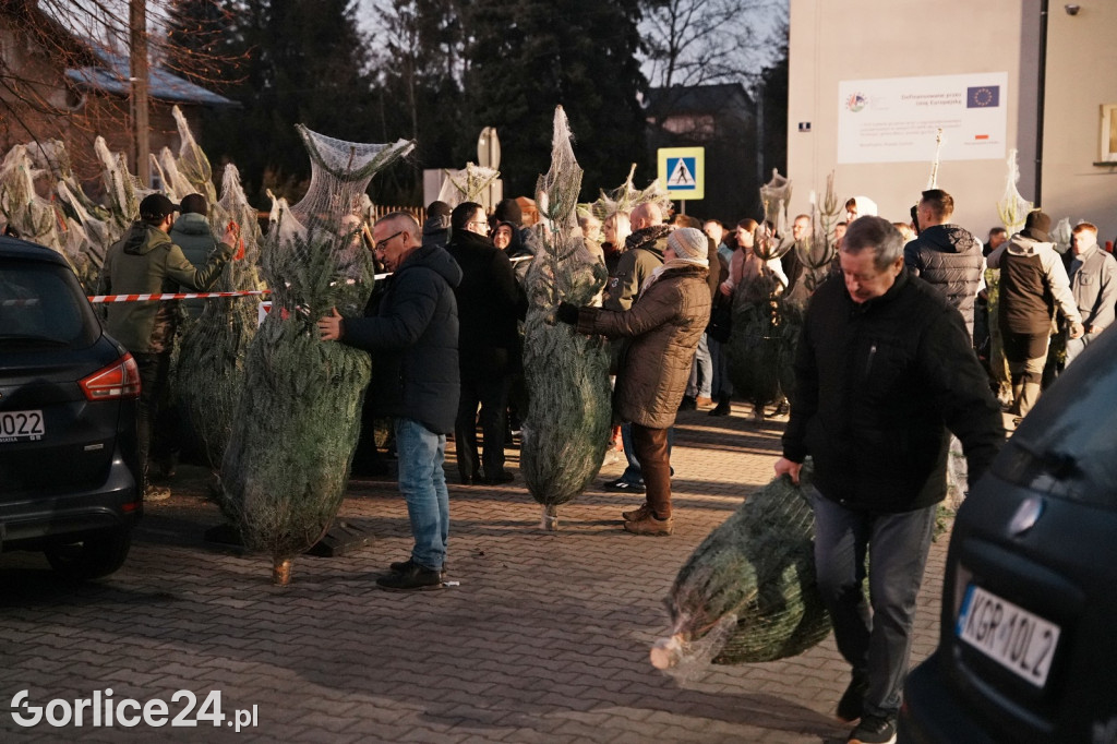 Choinki od Starosty Gorlickiego 2025 (19.12.)