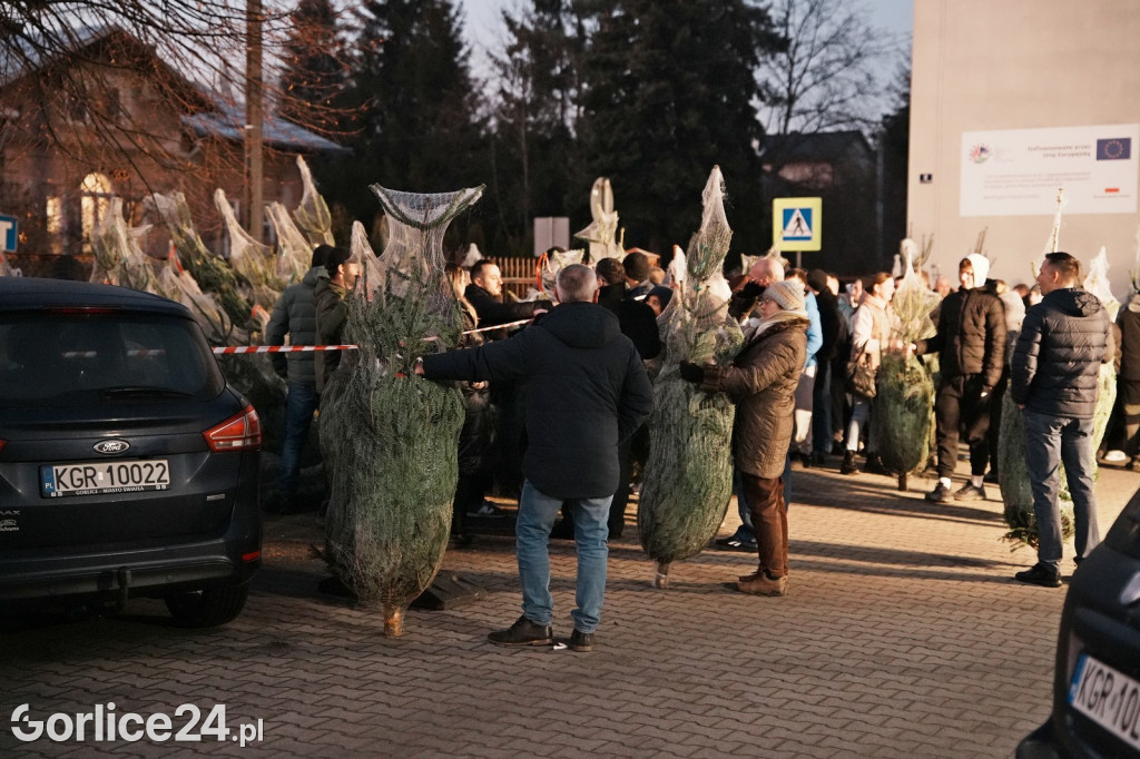 Choinki od Starosty Gorlickiego 2025 (19.12.)