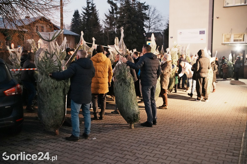 Choinki od Starosty Gorlickiego 2025 (19.12.)