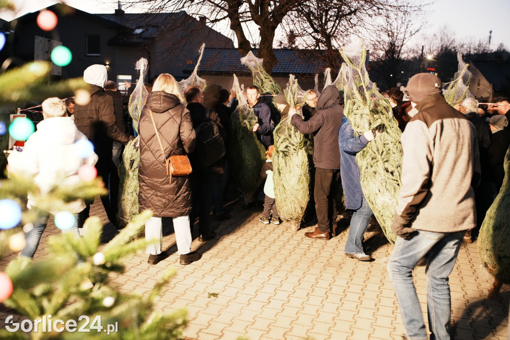 Choinki od Starosty Gorlickiego 2025 (19.12.)