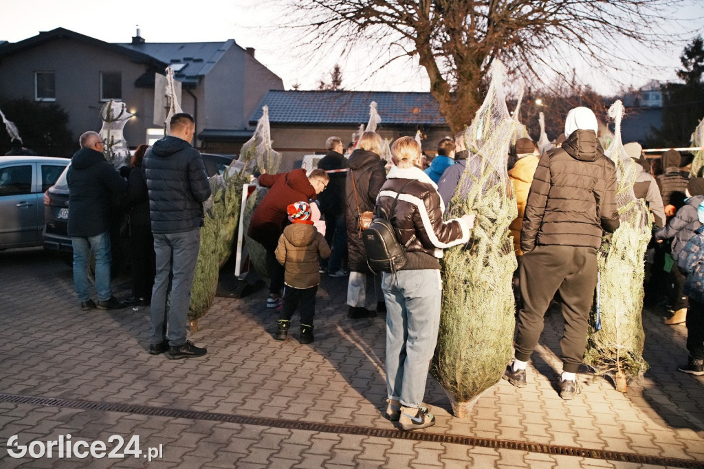 Choinki od Starosty Gorlickiego 2025 (19.12.)