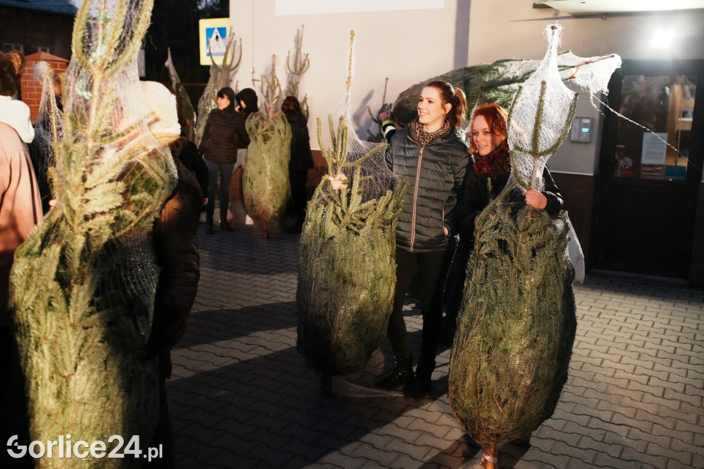 Choinki od Starosty Gorlickiego 2025 (19.12.)