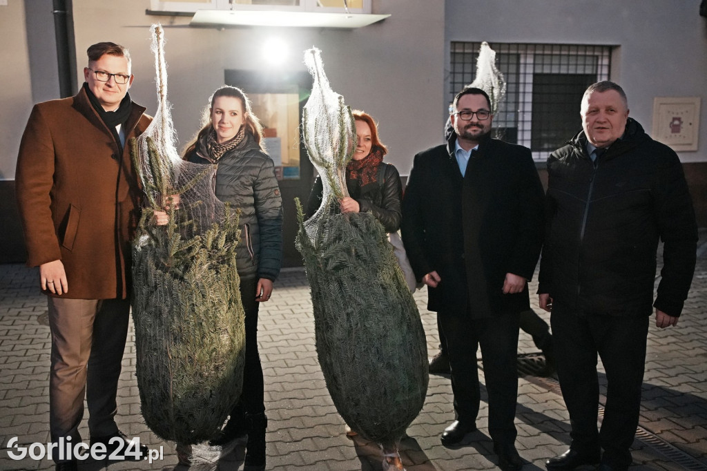Choinki od Starosty Gorlickiego 2025 (19.12.)