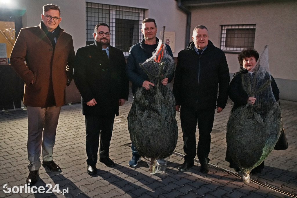 Choinki od Starosty Gorlickiego 2025 (19.12.)