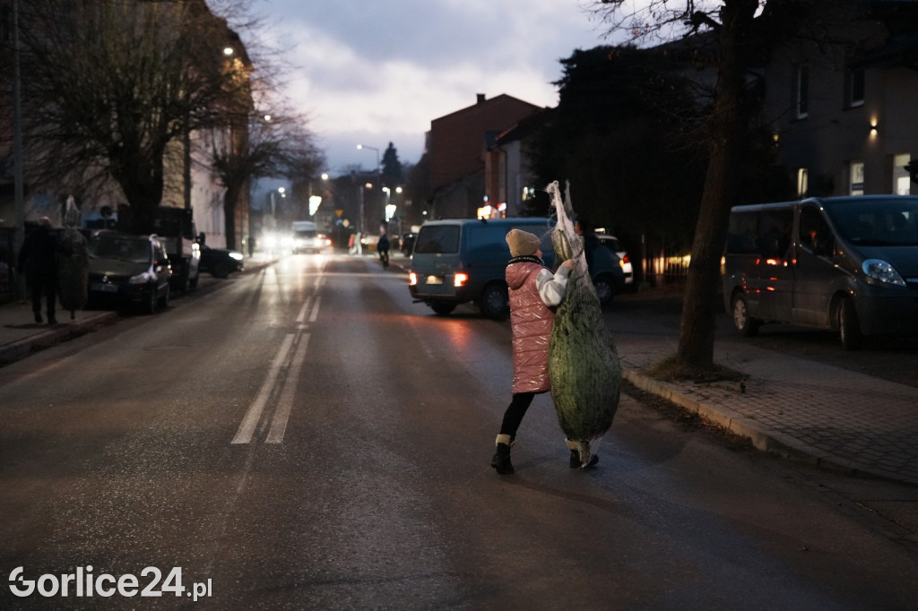Choinki od Starosty Gorlickiego 2025 (19.12.)