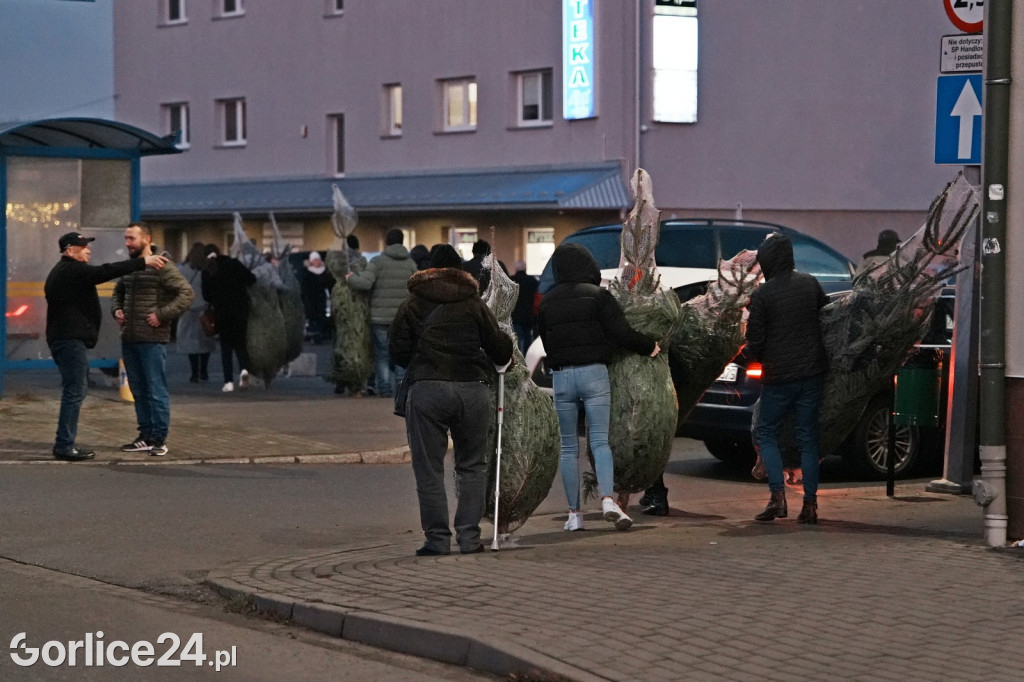 Choinki od Starosty Gorlickiego 2025 (19.12.)