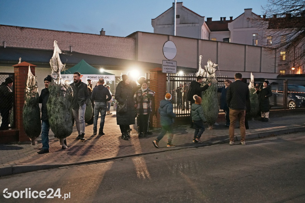 Choinki od Starosty Gorlickiego 2025 (19.12.)