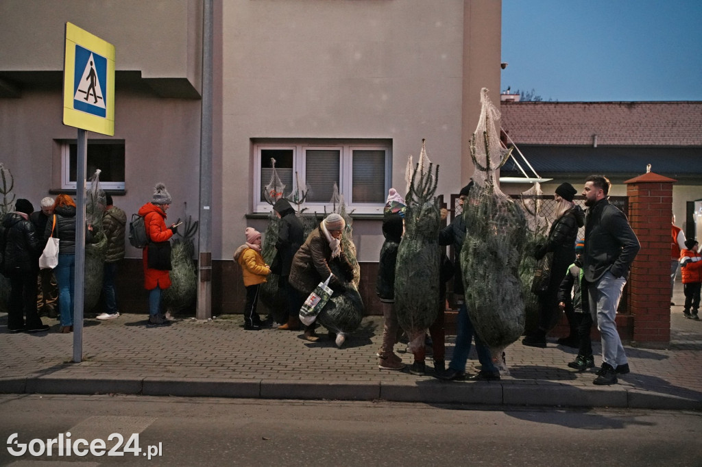 Choinki od Starosty Gorlickiego 2025 (19.12.)
