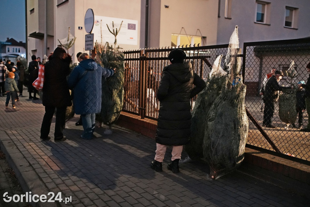 Choinki od Starosty Gorlickiego 2025 (19.12.)