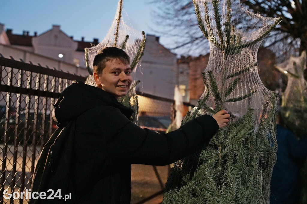 Choinki od Starosty Gorlickiego 2025 (19.12.)