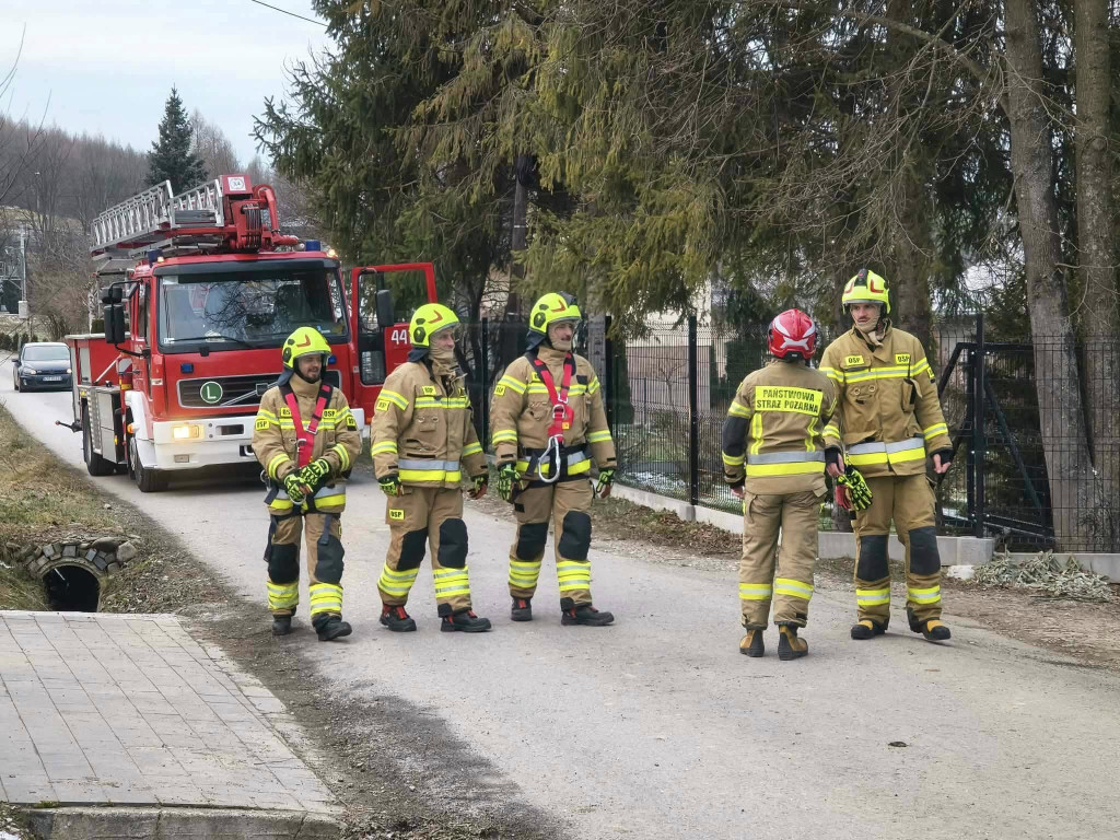 Akcja OSP Łosie