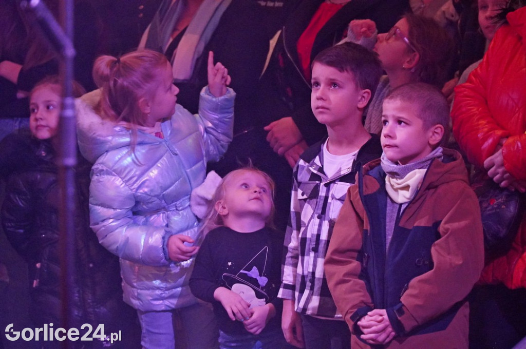 Koncert Charytatywny dla Nikoli