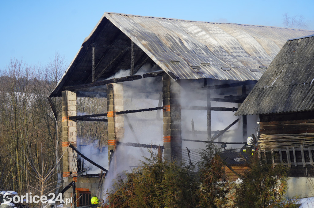 Pożar w Śnietnicy (20.01)