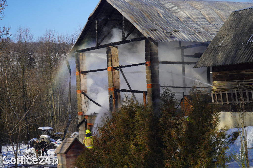 Pożar w Śnietnicy (20.01)