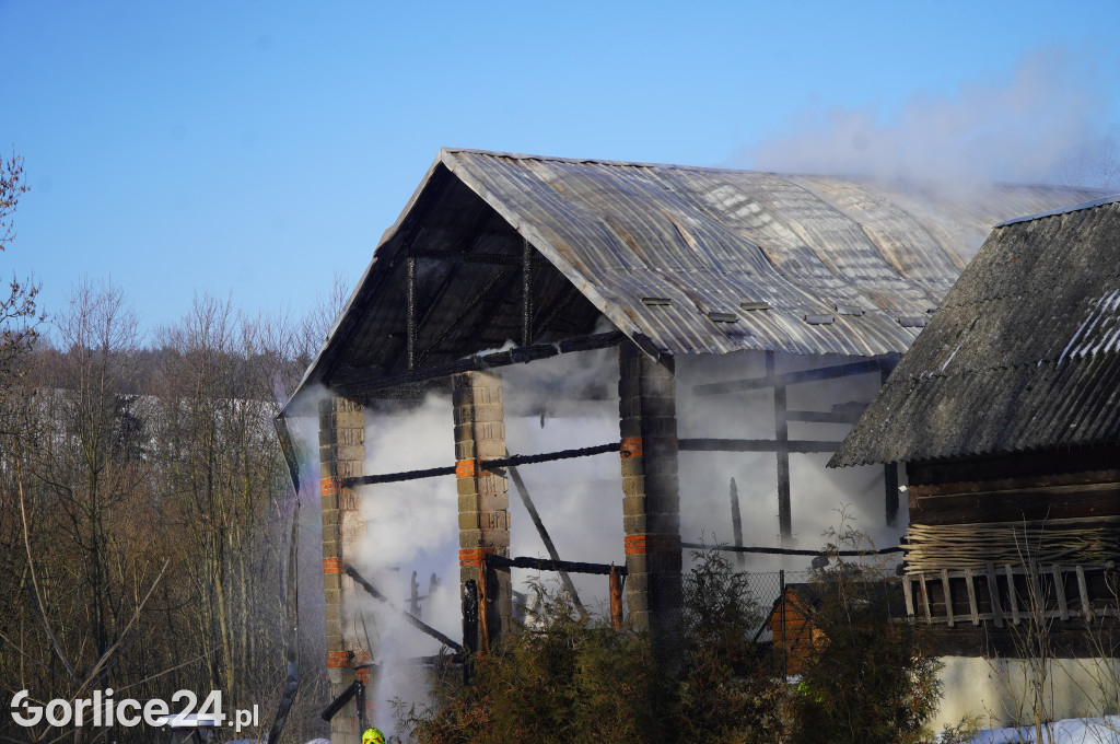 Pożar w Śnietnicy (20.01)
