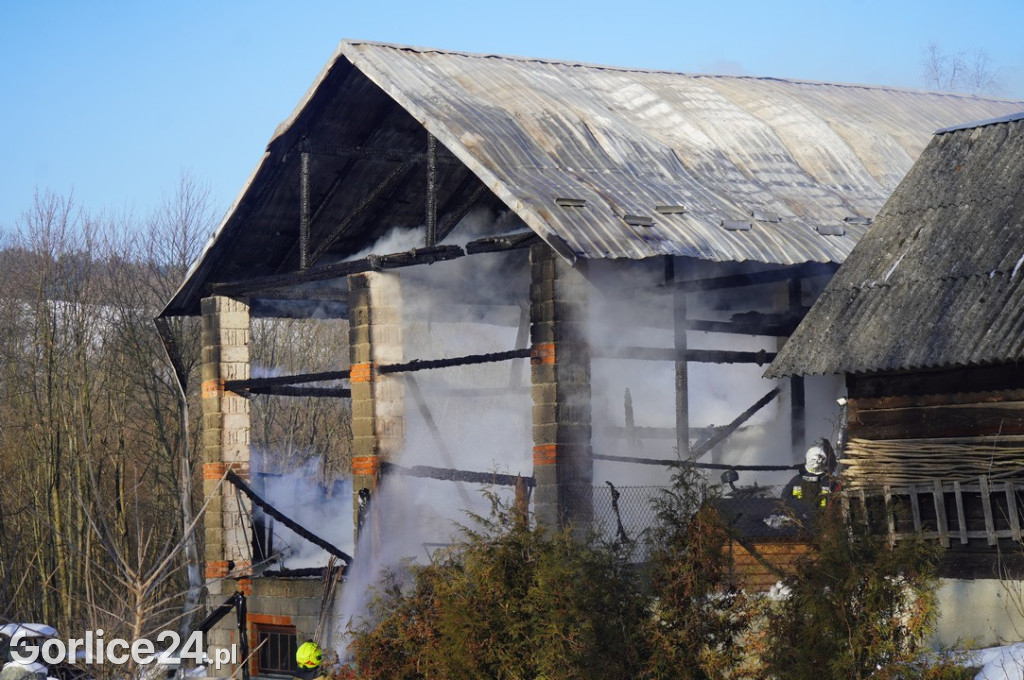 Pożar w Śnietnicy (20.01)