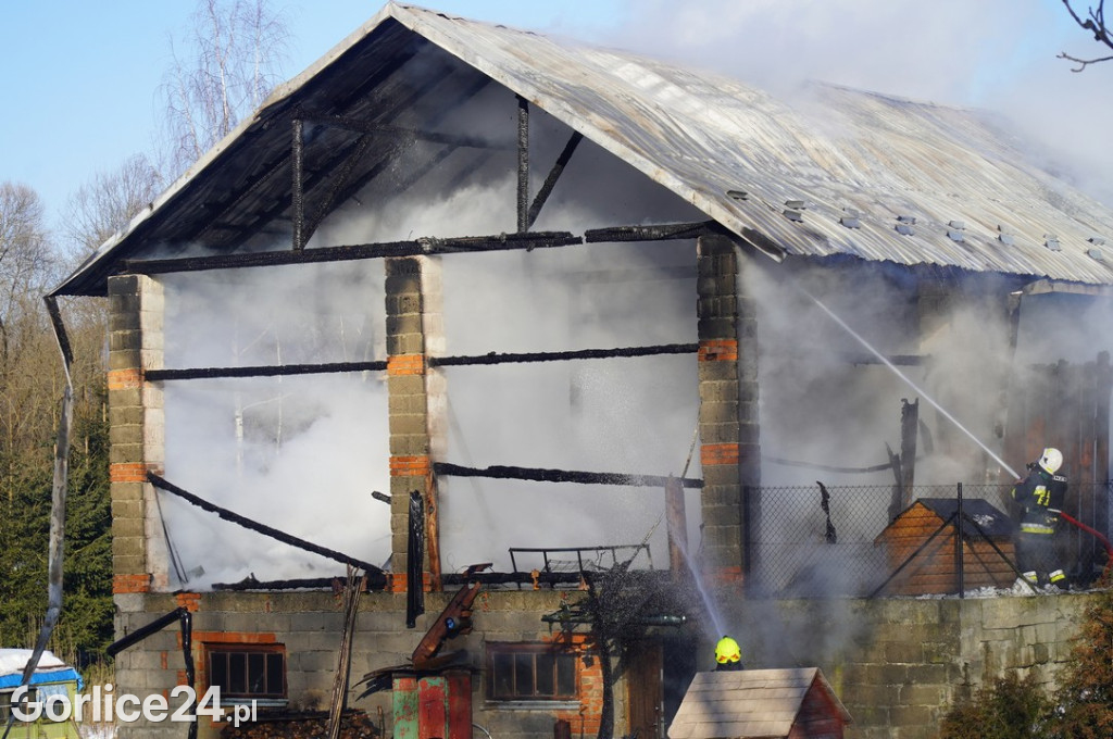 Pożar w Śnietnicy (20.01)