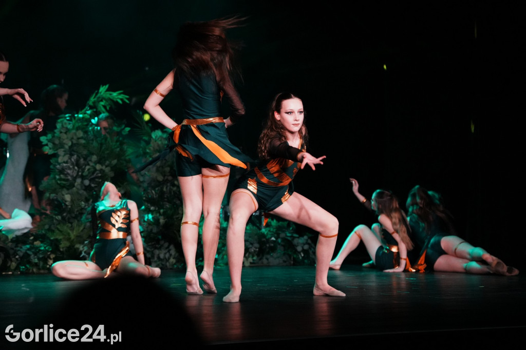 34. Finał WOŚP w Gorlicach - Gorlickie Centrum Kultury