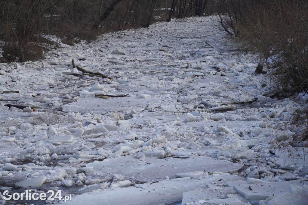 Zatory lodowe na rzekach w Gorlicach 27.01.2026