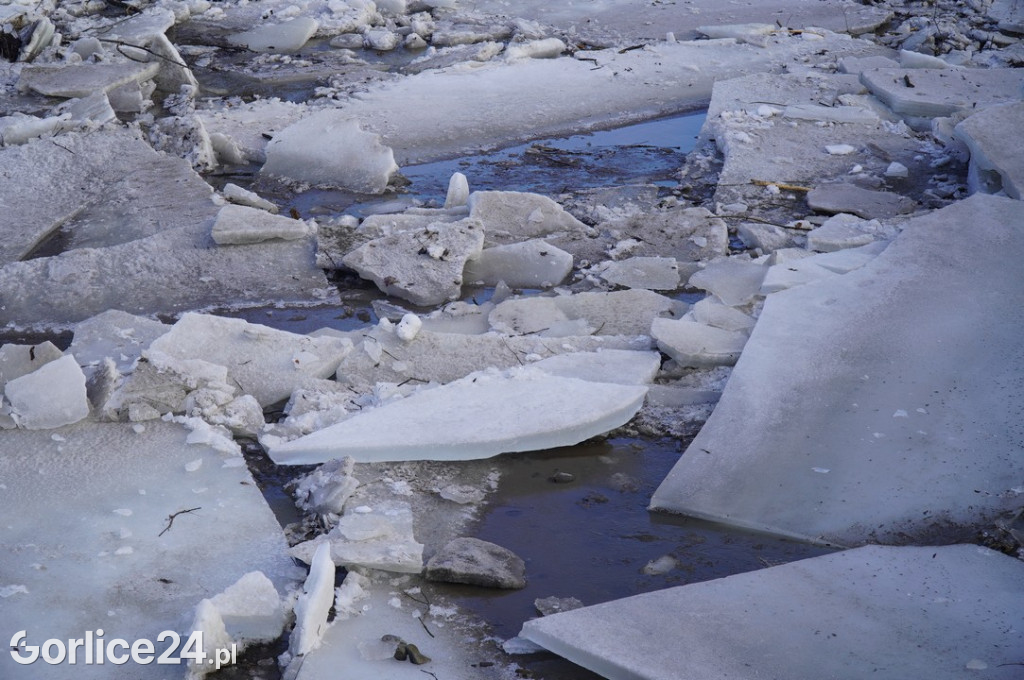 Zatory lodowe na rzekach w Gorlicach 27.01.2026