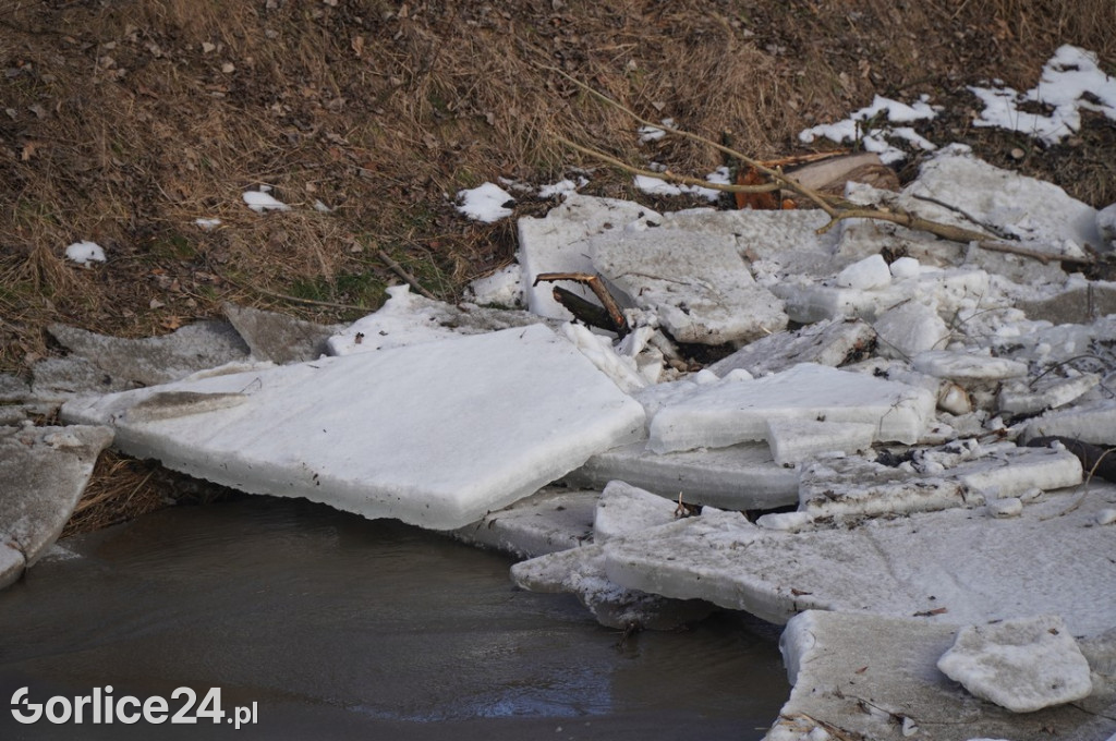 Zatory lodowe na rzekach w Gorlicach 27.01.2026