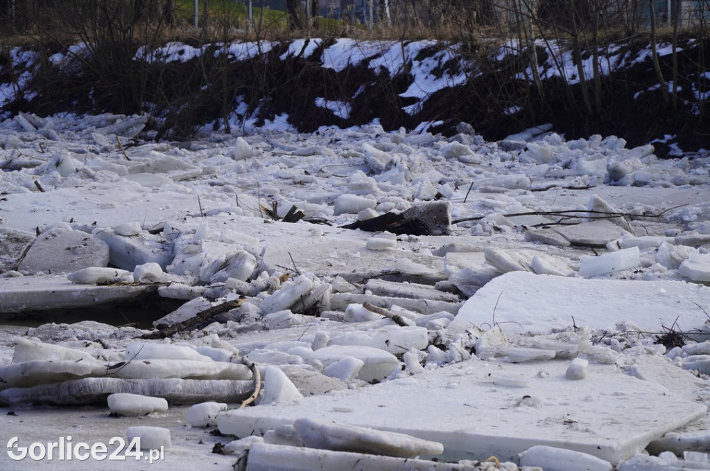 Zatory lodowe na rzekach w Gorlicach 27.01.2026