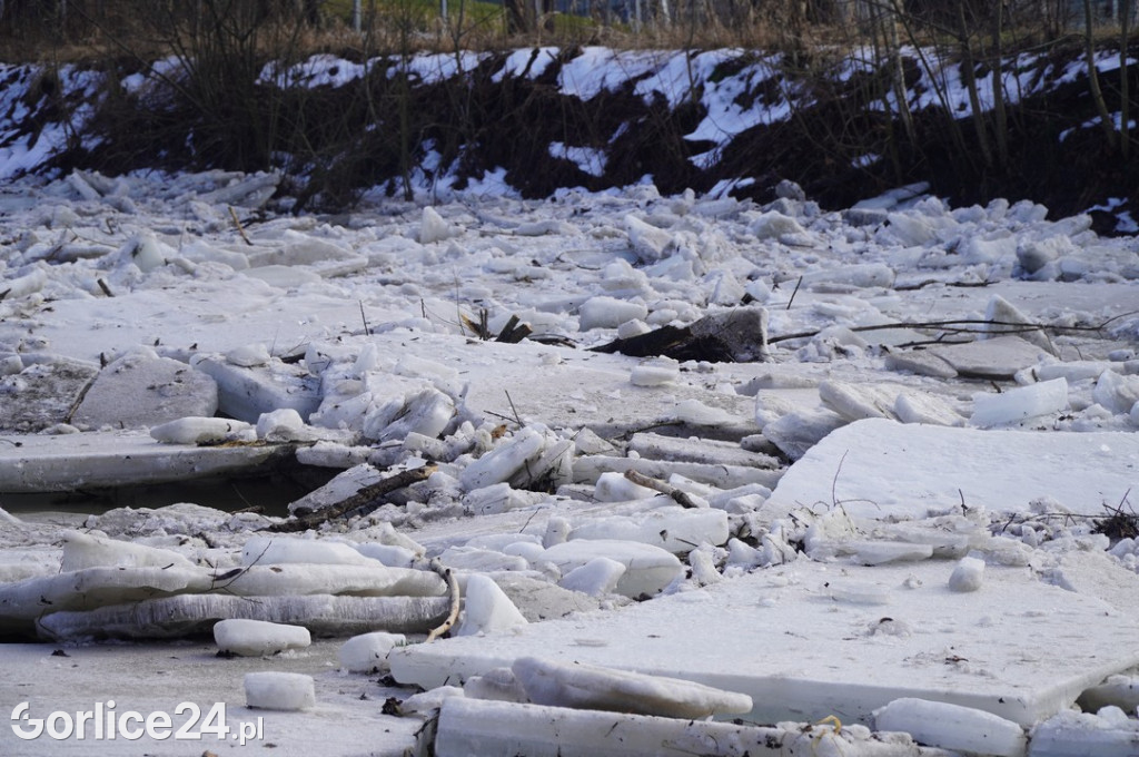 Zatory lodowe na rzekach w Gorlicach 27.01.2026