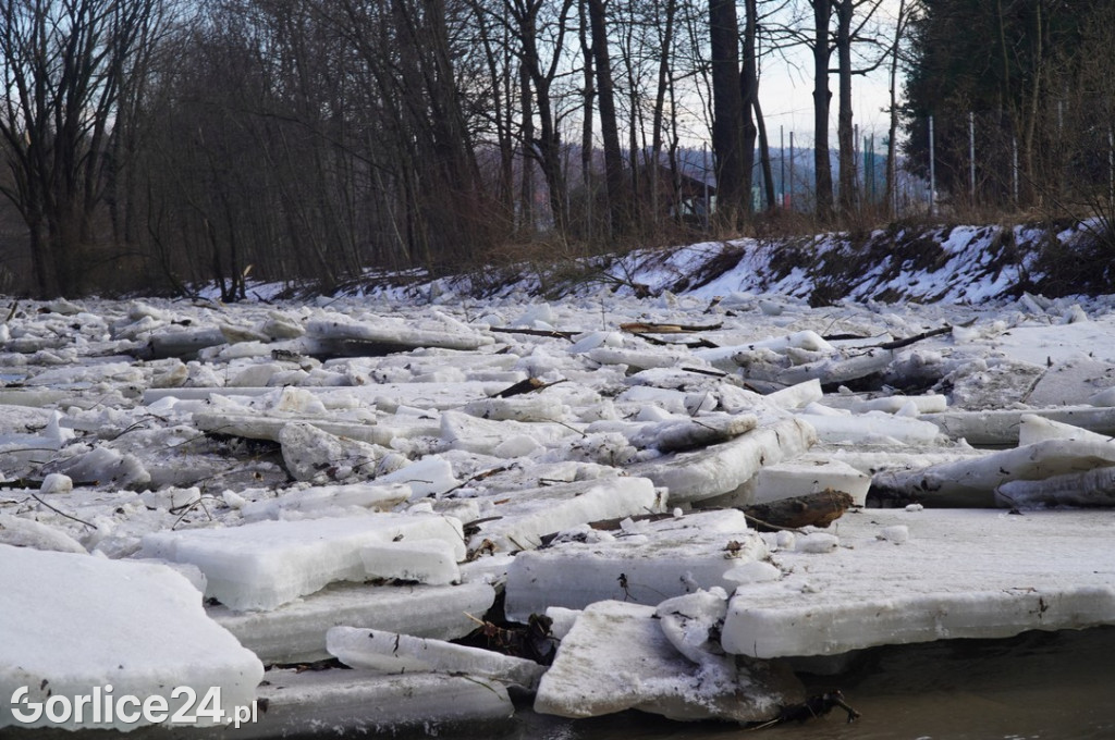 Zatory lodowe na rzekach w Gorlicach 27.01.2026