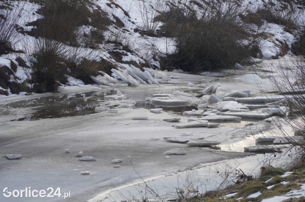 Zatory lodowe na rzekach w Gorlicach 27.01.2026