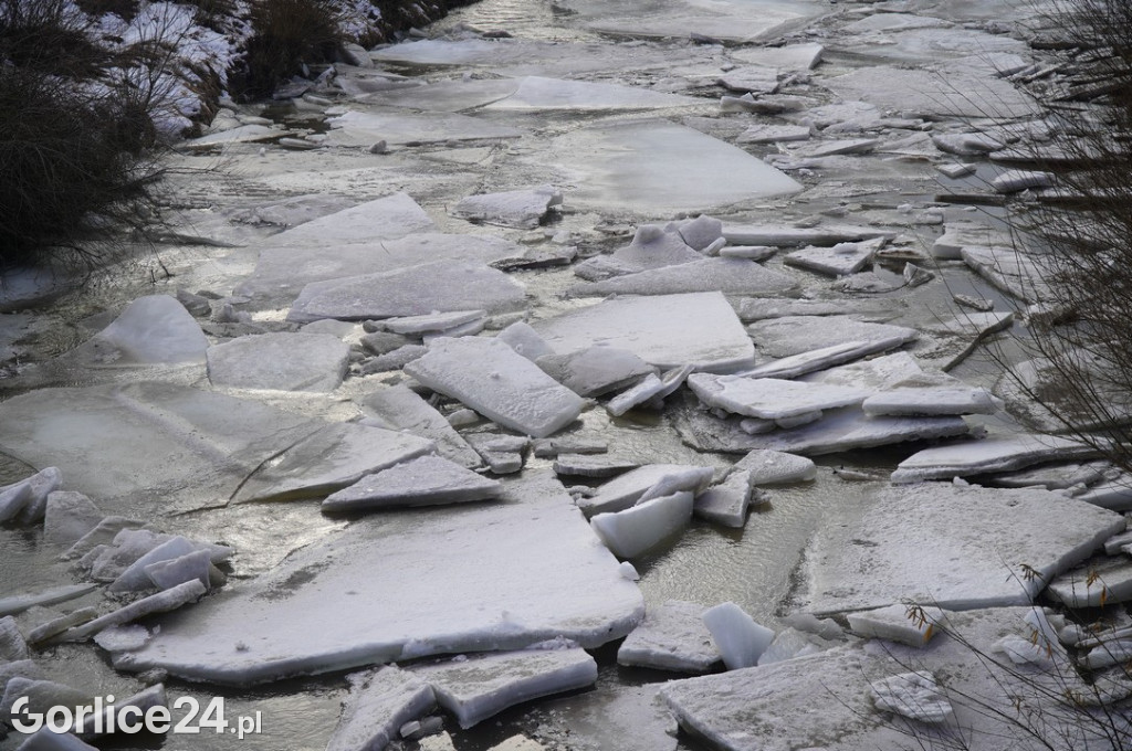 Zatory lodowe na rzekach w Gorlicach 27.01.2026