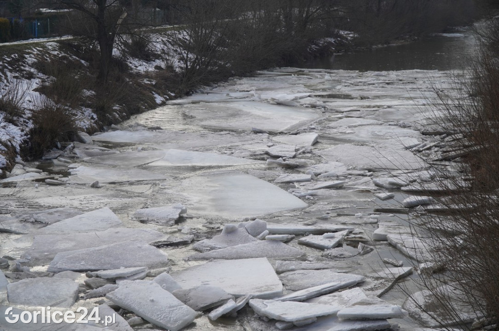 Zatory lodowe na rzekach w Gorlicach 27.01.2026
