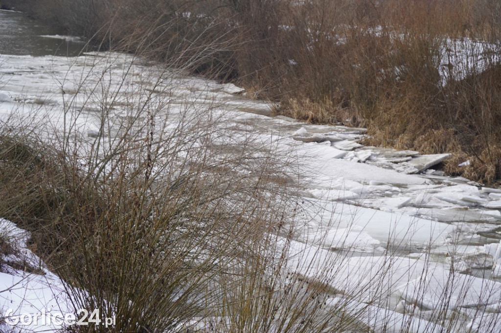 Zatory lodowe na rzekach w Gorlicach 27.01.2026
