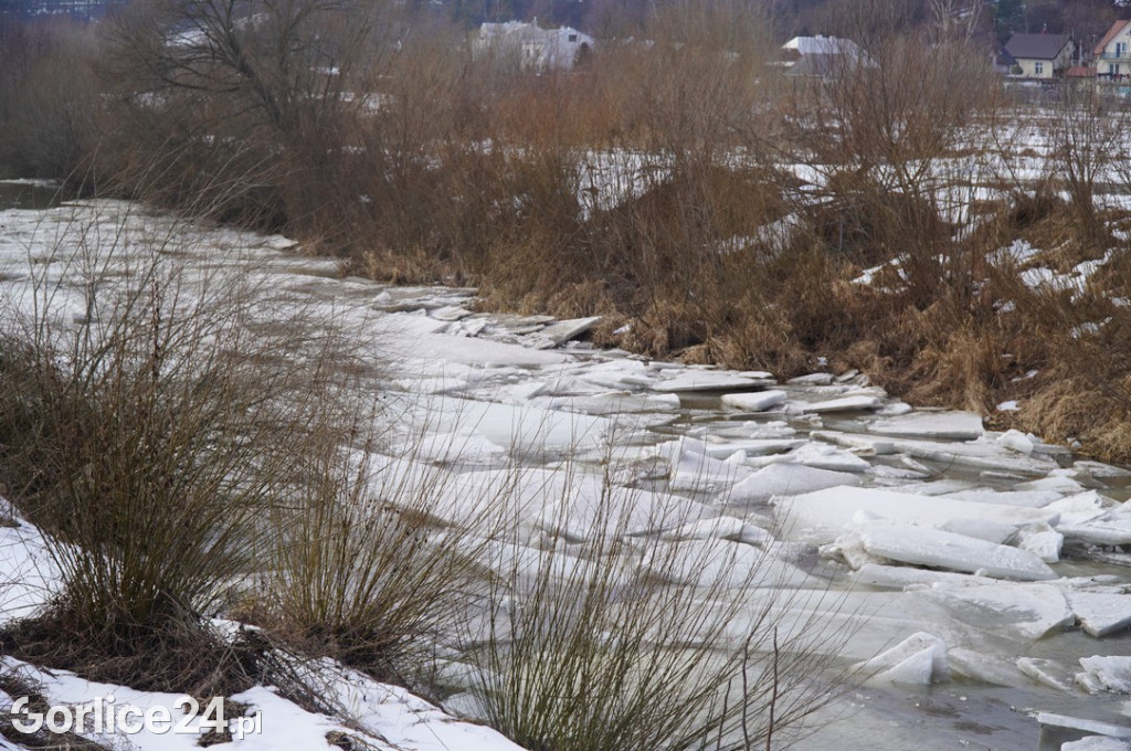 Zatory lodowe na rzekach w Gorlicach 27.01.2026