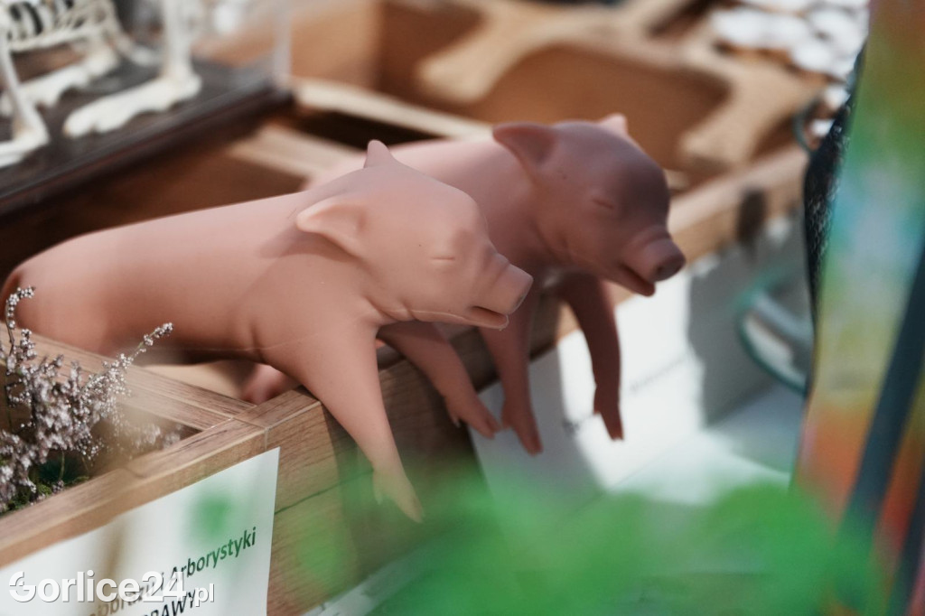 XXI Targi Edukacji, Pracy i Praktyk Zawodowych.