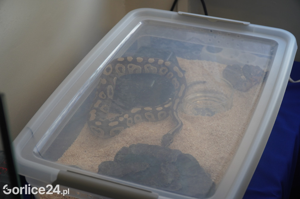 Dni Otwarte Szkół Średnich - Zespół Szkół Nr 1 im. Ignacego Łukasiewicza