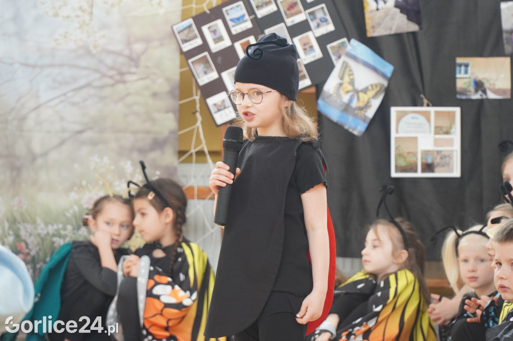 Konkurs plastyczny Uliczny atlas owadów