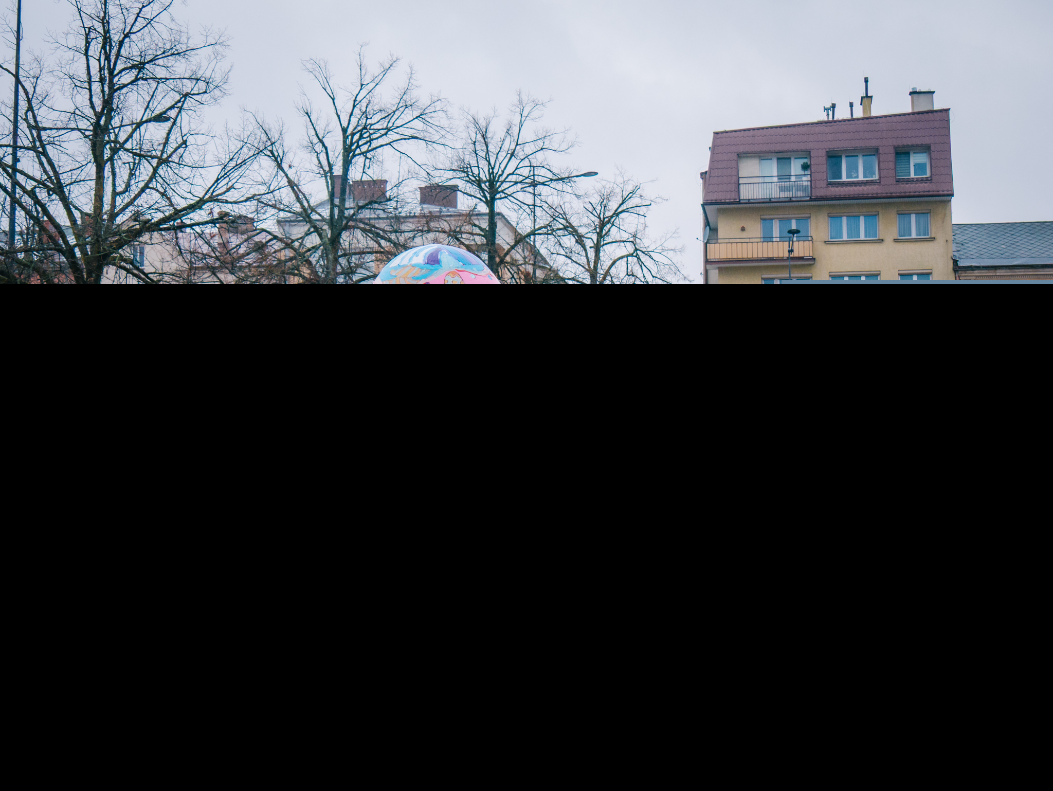 Kura Bronia zniosła jaja
