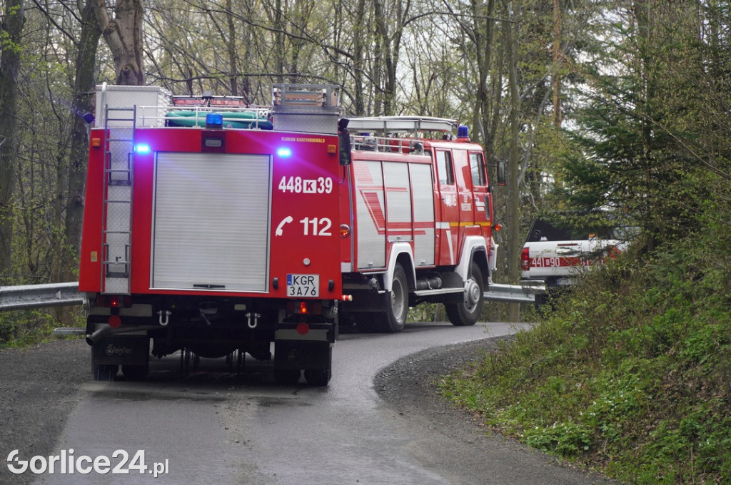 Pożar budynku mieszkalnego w Sękowej (17.04.)