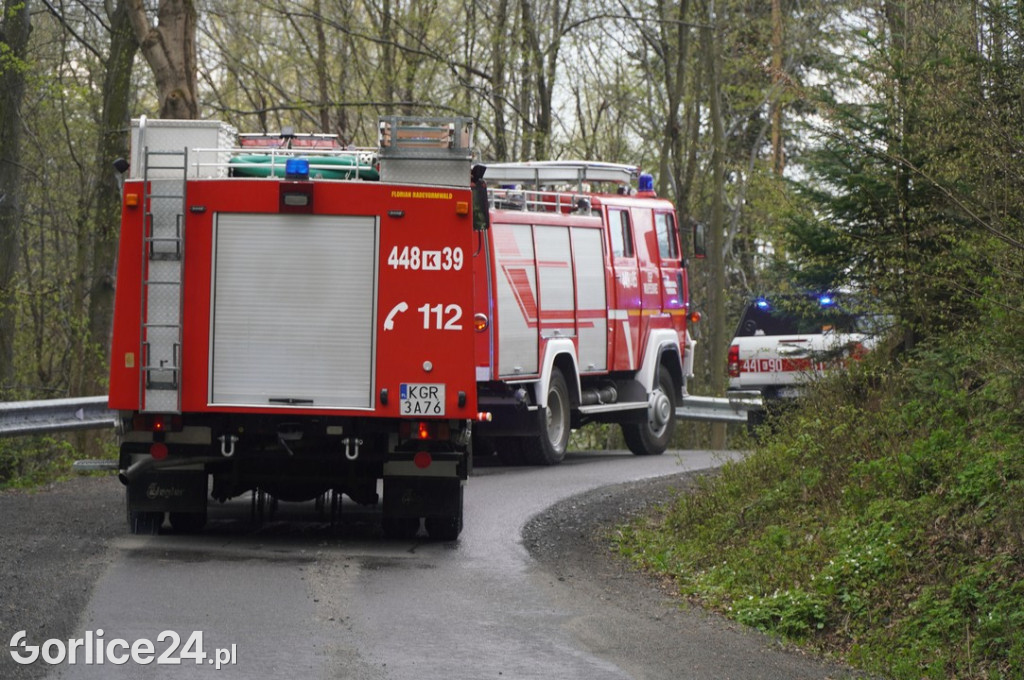 Pożar budynku mieszkalnego w Sękowej (17.04.)