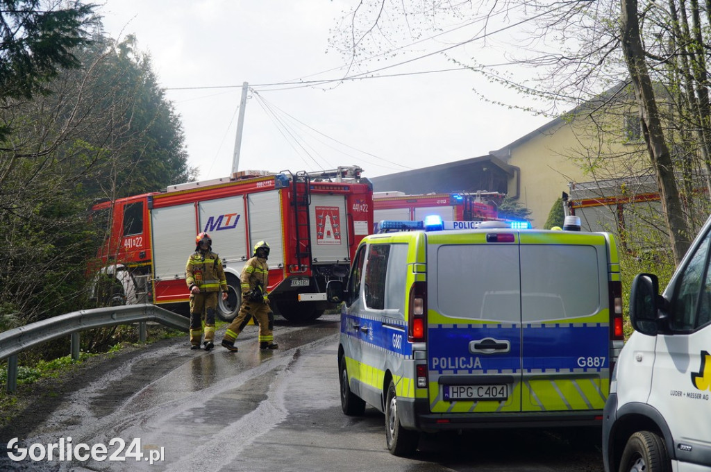 Pożar budynku mieszkalnego w Sękowej (17.04.)