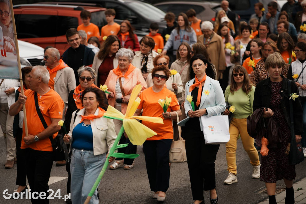 Gorlicki Marsz Żonkilowy 2026 - Dni Dziecka i Rodziny