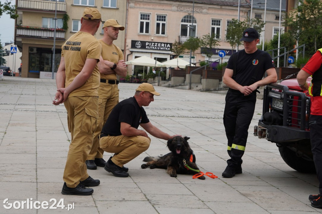 Krajowy Trening Pierwszej Pomocy w Gorlicach
