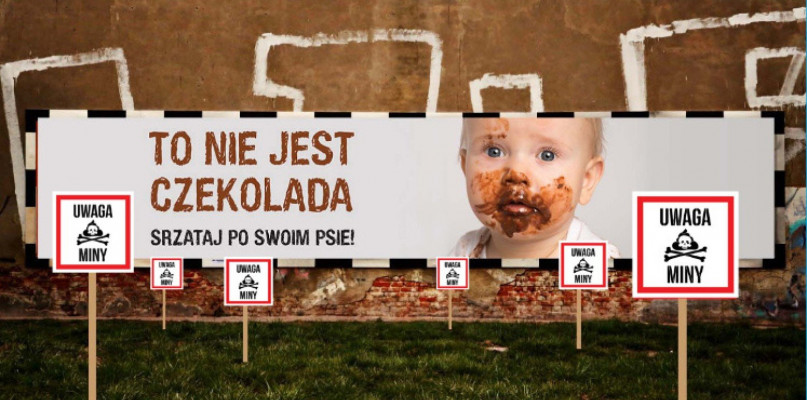 Agencja Oxymoron zorganizowała w Łodzi akcję społeczną przeciwko niesprzątaniu psich odchodów