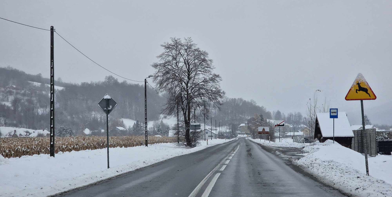 fot. Piotr Boczoń / Gorlice24