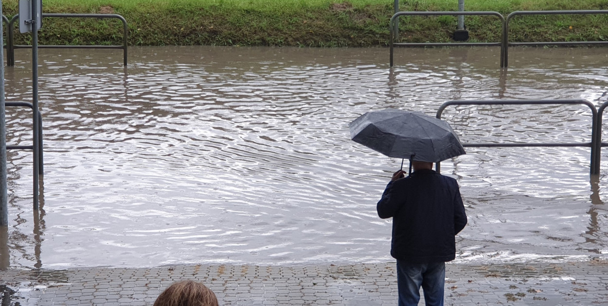 fot. nadesłane przez Czytelniczkę