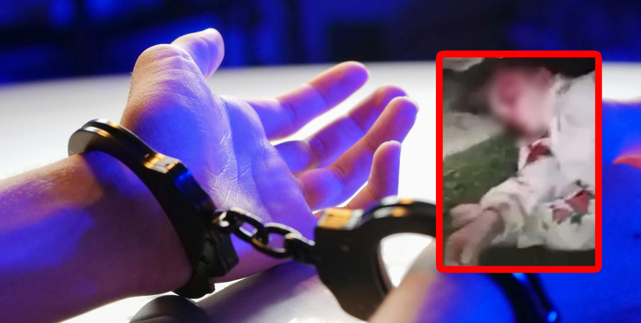 Zdj. ilustracyjne / pexels / stopklatka z nagrania krążącego w sieci