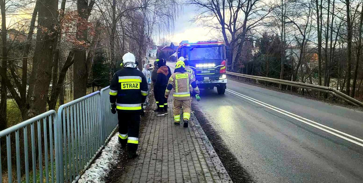 Powalone drzewo w Dominikowicach / Fot. Gorlice24 - Gabriela Zawiła