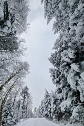 Zima w Beskidzie Niskim-2890